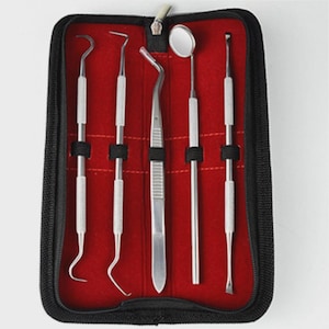 May include: A set of five stainless steel dental hygiene tools secured in a black zippered carrying case with a vibrant red interior lining. The kit includes two curved picks, a pair of tweezers, a dental mirror, and a flat-ended scraping tool.