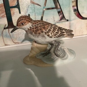 May include: A ceramic figurine of a sandpiper bird with brown and white mottled feathers, standing on a sandy base next to a light-coloured spiral seashell and a small patch of blue-tinted water, featuring a slender dark beak and grey legs.