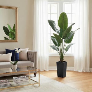 Könnte beinhalten: Eine hohe künstliche Paradiesvogelblume mit großen, leuchtend grünen Blättern an schlanken Stielen. Die Pflanze steht in einem eleganten, mattschwarzen quadratischen Pflanzgefäß, das sich zur Basis hin leicht verjüngt und auf einem Holzboden steht.