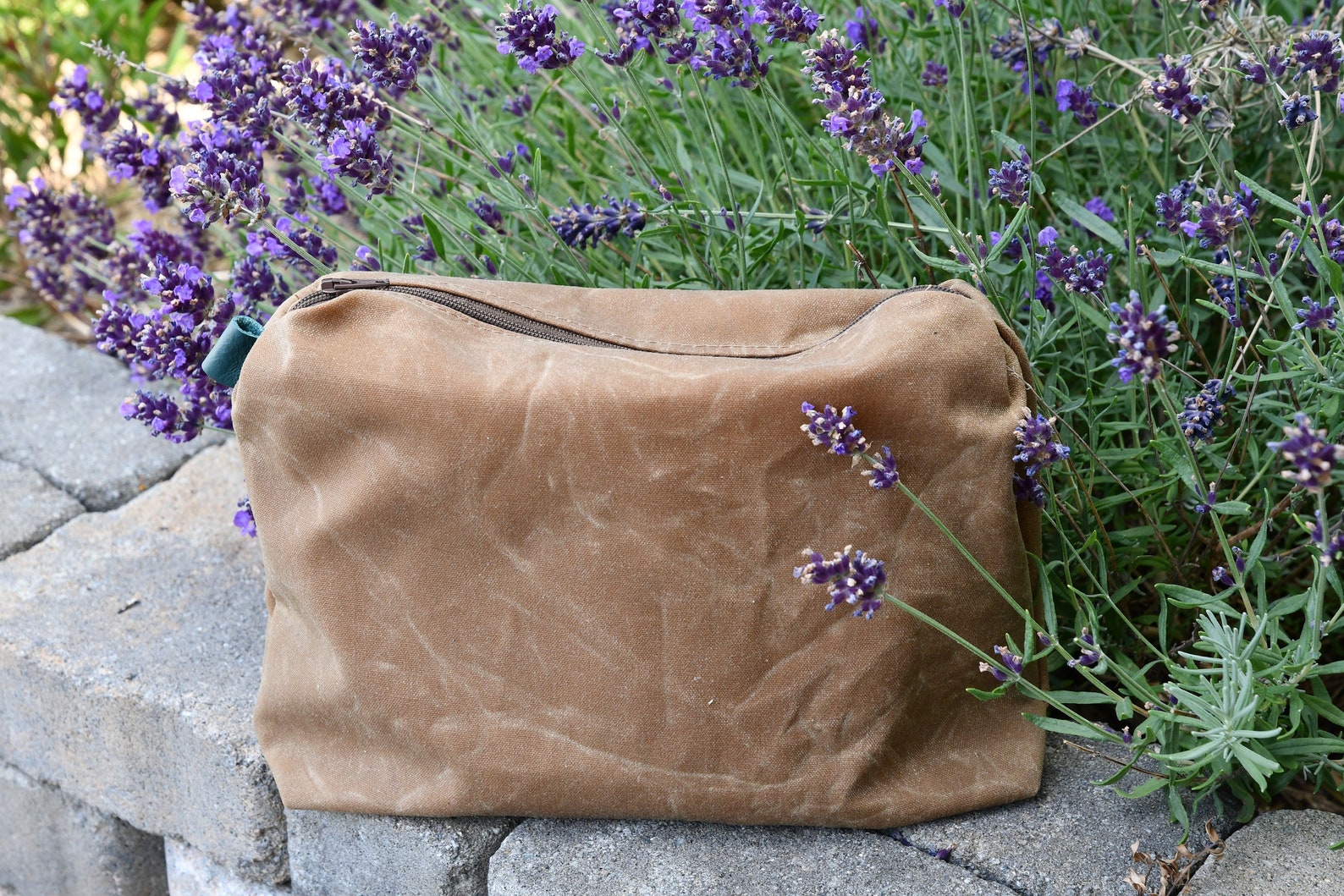 •MINI POUCH - AMANITA• waxed canvas bag