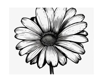 Large Daisy Wildflower Poster