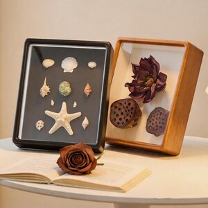May include: Two rectangular shadow box frames displayed on a table. One black frame contains a collection of white and green seashells and a starfish on a black background. The other light wood frame holds a dark purple flower and two seed pods.