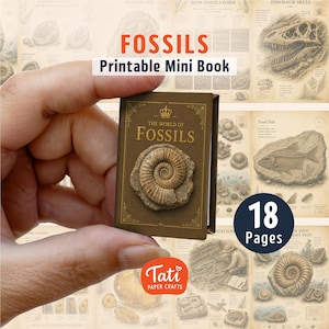 Puede incluir: Un libro en miniatura de color marrón titulado The World of Fossils con un icono de corona dorada y una ilustración central de un fósil de amonita en la portada. El libro se presenta sobre un fondo de páginas educativas sobre fósiles.