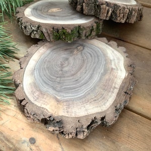 May include: Three natural wood slices with bark edges, arranged in a stack. The wood is a light brown color with dark brown rings. The slices are on a wooden surface.