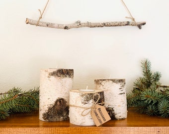Birch Branch Wall Hanging Jewelry Organizer Long Birch Piece Branch For Macrame Wall Hanging On Birch Dowel Craft Supplies