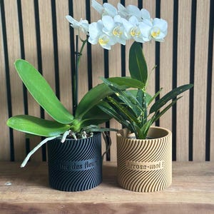 Op de afbeelding: Een witte orchidee in een zwarte cilindrische plantenbak met een diagonale geribbelde textuur en de tekst "Reine des fleurs" en een groene plant in een beige plantenbak met dezelfde textuur en de tekst "Arrose-moi!" op de voorzijde.