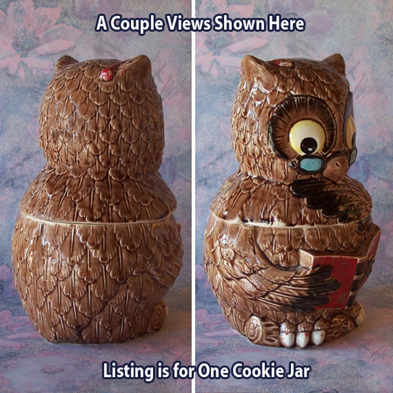 Vintage Wise Ceramic Owl Cookie Jar Reading a Book With Cold Etsy
