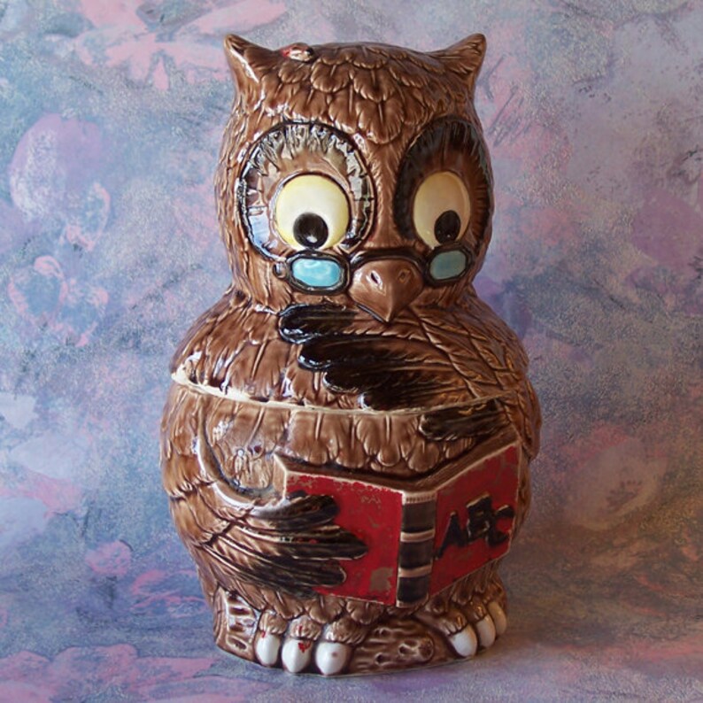 Vintage Wise Ceramic Owl Cookie Jar Reading a Book With Cold Etsy