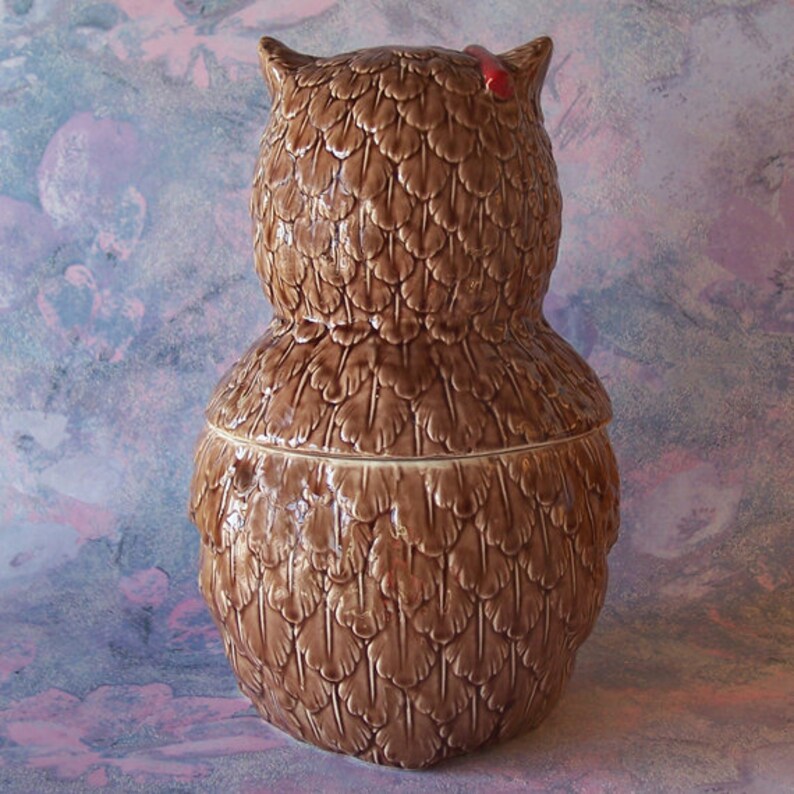 Vintage Wise Ceramic Owl Cookie Jar Reading a Book With Cold Etsy