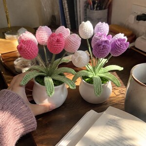 Può includere: Due piccoli vasi in ceramica bianca contenenti fiori di tulipano all'uncinetto nelle tonalità del rosa, viola e bianco. Ogni pianta presenta foglie e steli verdi all'uncinetto. I tulipani sono disposti a grappoli all'interno dei vasi, mostrando una costruzione in filato testurizzato con petali arrotondati e cuciture dettagliate in tutte le composizioni floreali.
