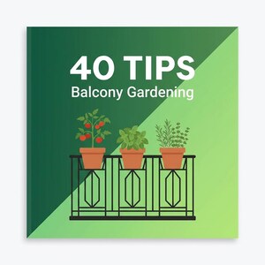 Container Gardening Guide for Beginners, Balcony Vegetable Garden PDF, Growing Vegetables in Pots, Digital Download
