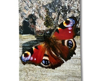 Peacock Butterfly Art Card | Norwegian Fine Art Greeting | A5 Matte Paper