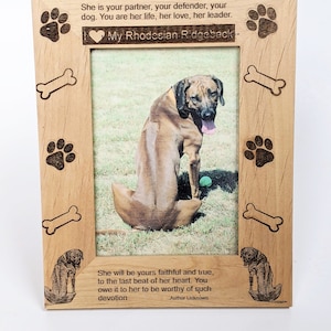 Ridgeback frame hotsell