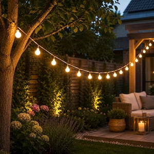 Warm Globe String Lights, Outdoor Patio Garden Wedding Lighting, Cozy Ambiance (USB/Battery)