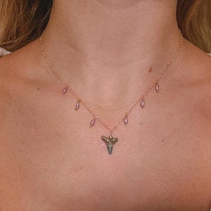 Pearl Drops Shark Tooth Necklace | 14k Gold Filled Wire Wrapped Pearl and Shark Tooth Necklace
