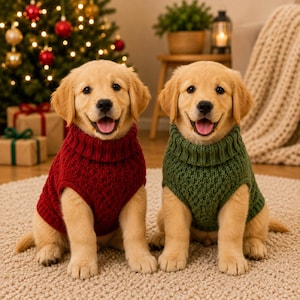 May include: Two golden retriever puppies sitting side by side. The puppy on the left wears a dark red cable-knit sweater with a turtleneck collar. The puppy on the right wears a dark green cable-knit sweater with a matching turtleneck collar.