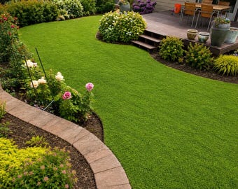 Micro Clover|Seeds|ground covers|400,000+ Seeds(1lb)