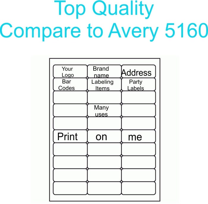 3000 Blank Address Labels - 100 Sheets for Etsy labels, 1 x 2 5/8 - Avery Template 5160 Ink Jet ...