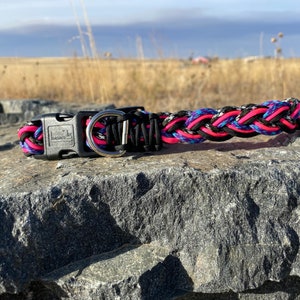 Verstellbares Paracord Hundehalsband Med/Lg Aurora