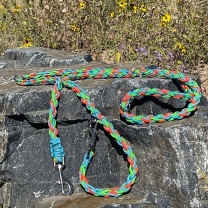 Paracord Multipurpose/Adjustable Dog Leash- mystery solver inspired