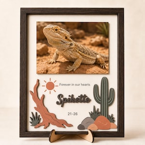 May include: A dark wood framed memorial display featuring a photograph of a bearded dragon on a desert landscape. Below the photo, a cutout of a sun, a desert branch, a cactus, and rocks accompany the text "Forever in our hearts", "Spikette", and "21-26".