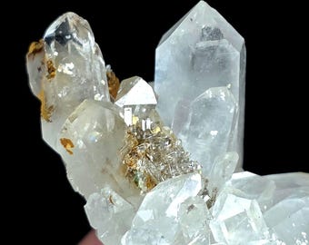 May include: A cluster of clear, translucent quartz crystals featuring sharp, pointed terminations and multifaceted surfaces. The mineral formation includes small, embedded golden-brown metallic inclusions clustered near the center of the specimen.
