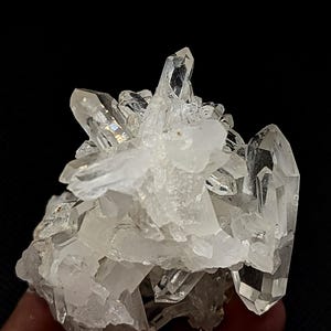 May include: A cluster of clear, translucent quartz crystals with sharp, pointed terminations and multifaceted surfaces. The mineral formation features a central grouping of smaller, opaque white crystals surrounded by larger, transparent points.