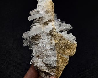 May include: A cluster of clear, prismatic quartz crystals growing from a textured, tan-colored mineral matrix. The specimen features multiple sharp, pointed terminations extending outward from the central base, showcasing natural transparency.