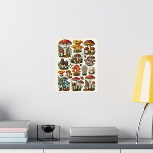 Vintage Botanical Mushroom Chart - Poster image 8