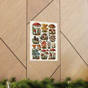 Vintage Botanical Mushroom Chart - Poster image 5
