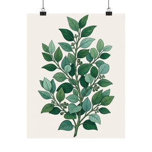 Botanical Eucalyptus Branch - Poster zdjęcie 1