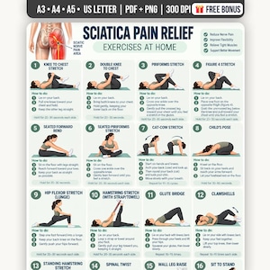 May include: An instructional poster titled Sciatica Pain Relief Exercises at Home featuring twelve numbered illustrations of a person performing various stretches and movements, including knee to chest, piriformis stretch, and cat-cow stretch.