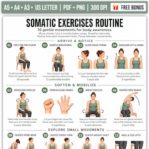 Peut inclure: Une affiche numérique intitulée Somatic Exercises Routine présentant 16 illustrations numérotées de mouvements doux pour la conscience corporelle. Le guide inclut des instructions pour des exercices assis comme les cercles d'épaules et de poignets.