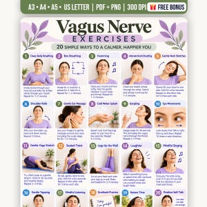 Può includere: Un poster educativo intitolato Vagus Nerve Exercises che presenta 20 pannelli di istruzioni numerati con testo e foto. Il layout include illustrazioni di tecniche di respirazione, stretching e consapevolezza in toni viola e bianchi.
