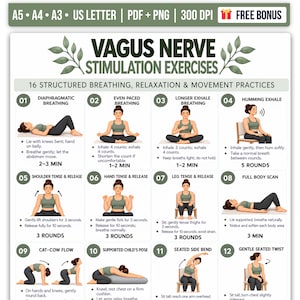 以下が含まれることがあります： Vagus Nerve Stimulation Exercisesと題された教育用チャートで、呼吸、リラクゼーション、運動の実践のための12の図解ステップが掲載されています。各番号付きセクションには、テキストによる指示と所要時間が記載されたポーズを示す図が含まれています。