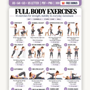 Peut inclure: Une affiche d'exercices intitulée FULL BODY EXERCISES présentant 16 illustrations numérotées d'une personne effectuant des mouvements de renforcement. Le guide inclut des instructions pour des squats, soulevés de terre et fentes avec haltères.