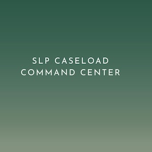 Speech Therapy Caseload Manager, IEP Minutes, Medicaid Tracker (Google Sheets)