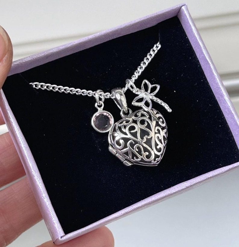 Puede incluir: Un collar de plata con un dije en forma de coraz&oacute;n, un dije de lib&eacute;lula y un peque&ntilde;o cristal rosa. El collar se muestra en una caja de terciopelo morado.