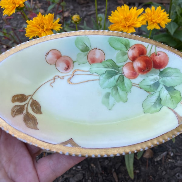 SALE! Signed Richard Ginori Dish, Hand Painted Porcelain, R Pinelli, 19th Century Italian Dish, Number 058, Beautiful!