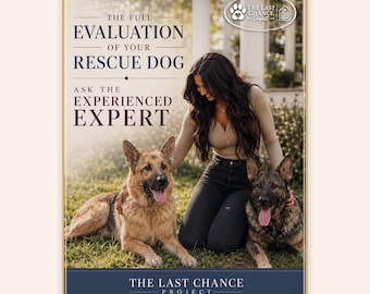 Rescue and Adopted Dog Complex Full Behavior Review - Expert Written Assessment |48-72 Hour Personal Response Delivery, Not a PDF, Not AI |