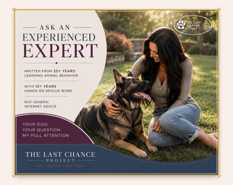 Dog Behavior Help | Personalized Training Advice for Problem Behaviors, Rescue Dogs & Anxious Adopted Pets