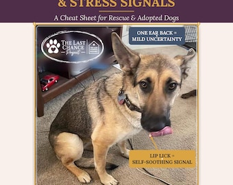 Dog Body Language and Stress Signals Cheat Sheet | Printable Guide for Rescue & Adopted Dogs | Not AI