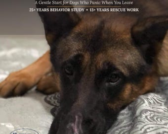Separation Anxiety Starter Plan | Printable Guide for Rescue & Adopted Dogs | Instant Download PDF