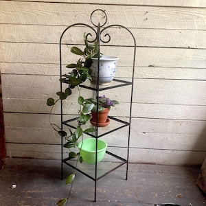 May include: A black metal plant stand with three glass shelves. The stand has a decorative scroll design and is holding a variety of plants in pots.
