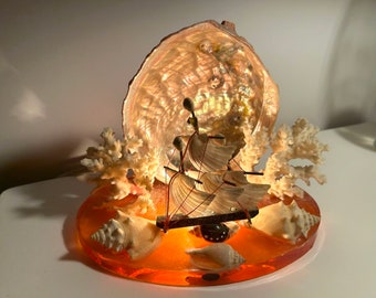 Sea shell nightlight lucite base abalone shell coral beach decor shell ship