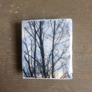 Encaustic Painting - Original Art - Photo Image Transfer - Recycled Wood Panel -  Beeswax - Small Painting - trees - landscapeart