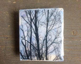 Encaustic Painting - Original Art - Photo Image Transfer - Recycled Wood Panel -  Beeswax - Small Painting - trees - landscapeart