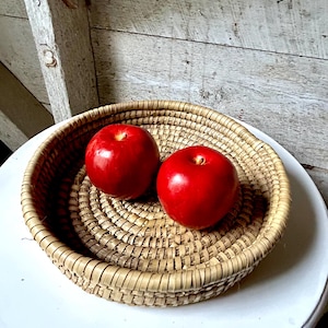 Coil wrapped raffia Sweetgrass basket - shallow handmade handwoven - sweet grass basket