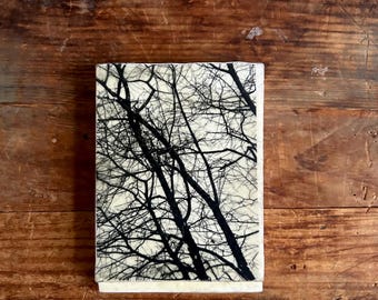 Pintura encáustica - Arte original - Transferencia de imágenes fotográficas - Panel de madera reciclada - Cera de abejas - Cuadro pequeño - Árboles - Arte paisajístico