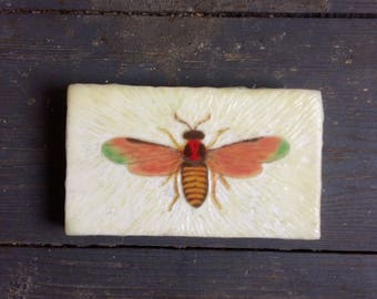 Encaustic Painting - Insect Art - Moth Art - Original Art - Photo Image Transfer -  Wood Panel -  Beeswax - Small Painting - Butterflyart